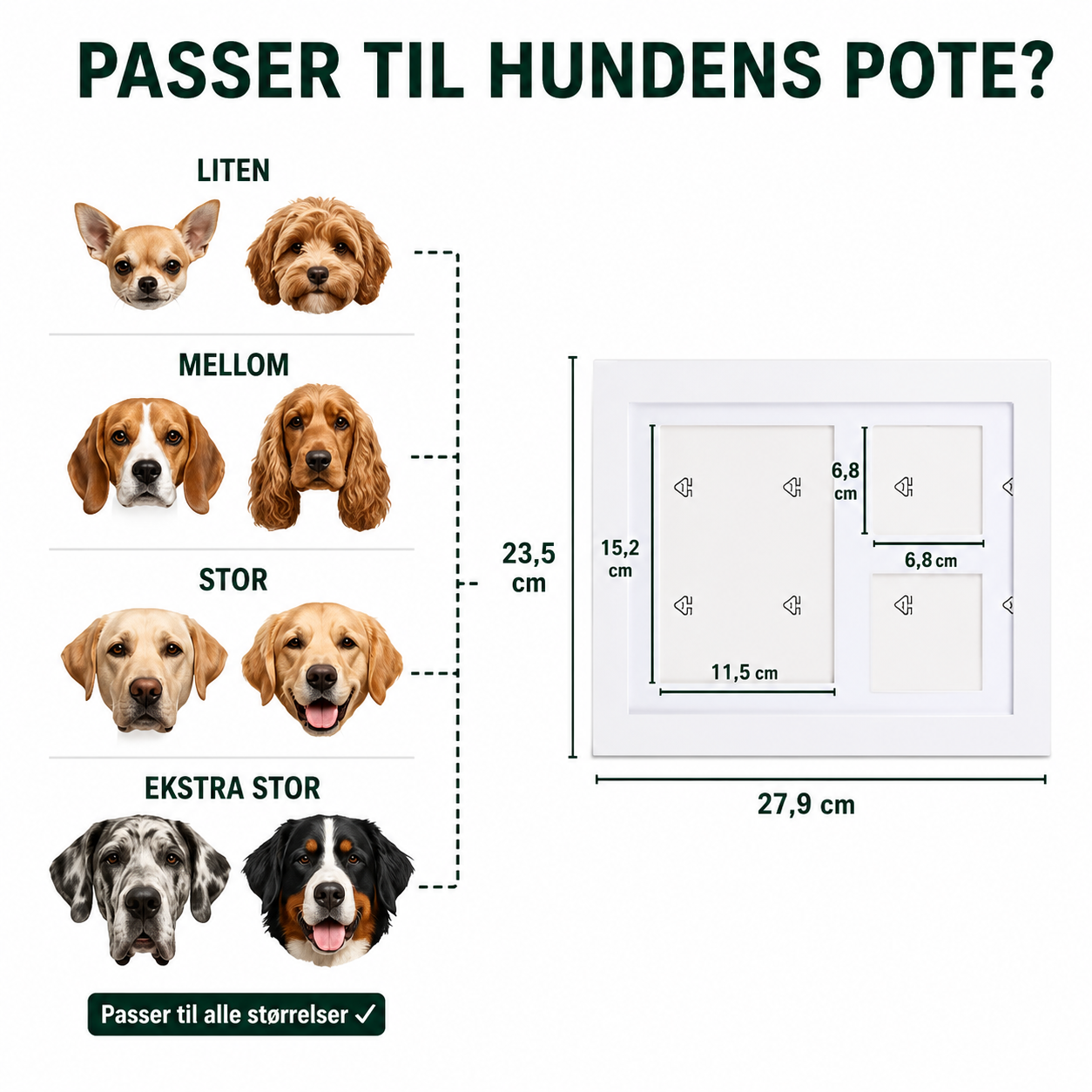 EvigPote – Poteavtrykk i Leire