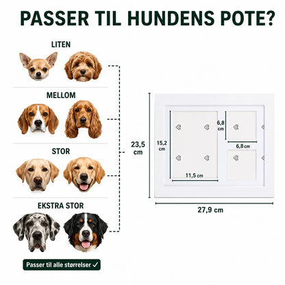 EvigPote – Poteavtrykk i Leire
